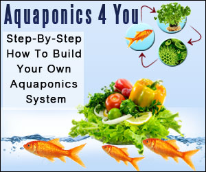 Aquaphonics for You